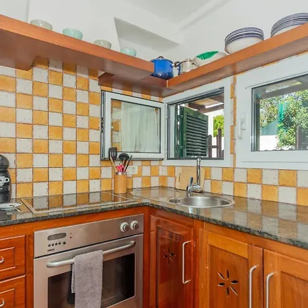 Arbocers Ciutadella (Menorca)