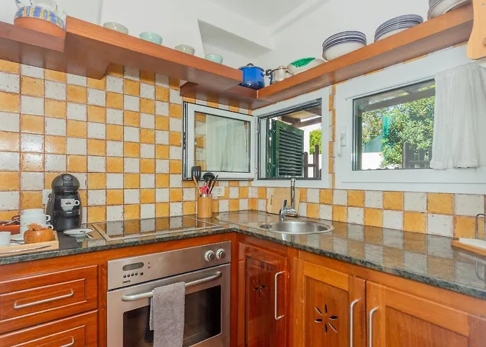 Arbocers ثيوداديلا